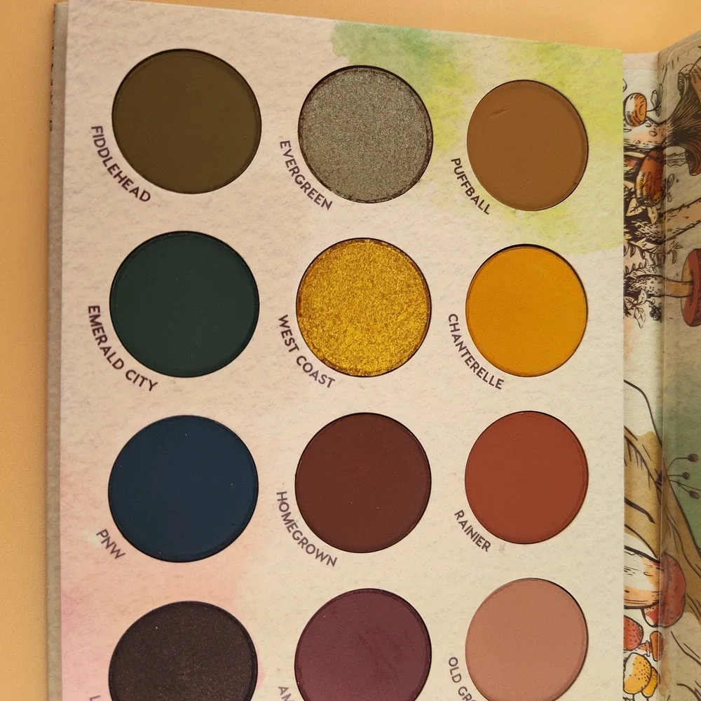 Colourpop forest sight